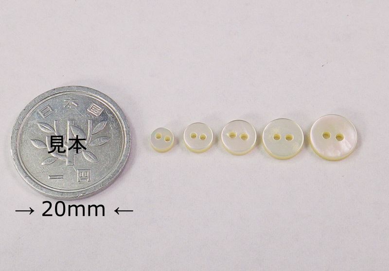 白蝶貝のボタン まっ平らな型 No.100 2穴 小さいちいさい貝ボタン4mm ケシ